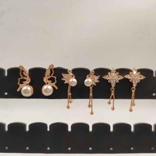 Elvia Earring Display